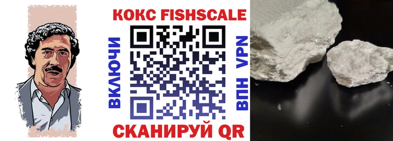 hydra ТОР  Химки  Cocaine FishScale 