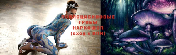 PSILOCYBIN Абинск