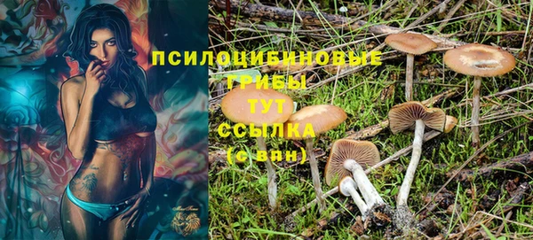 винт Абаза