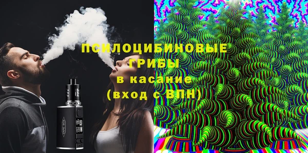герыч Алексин