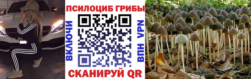 что такое наркотик  Химки  Псилоцибиновые грибы ЛСД 