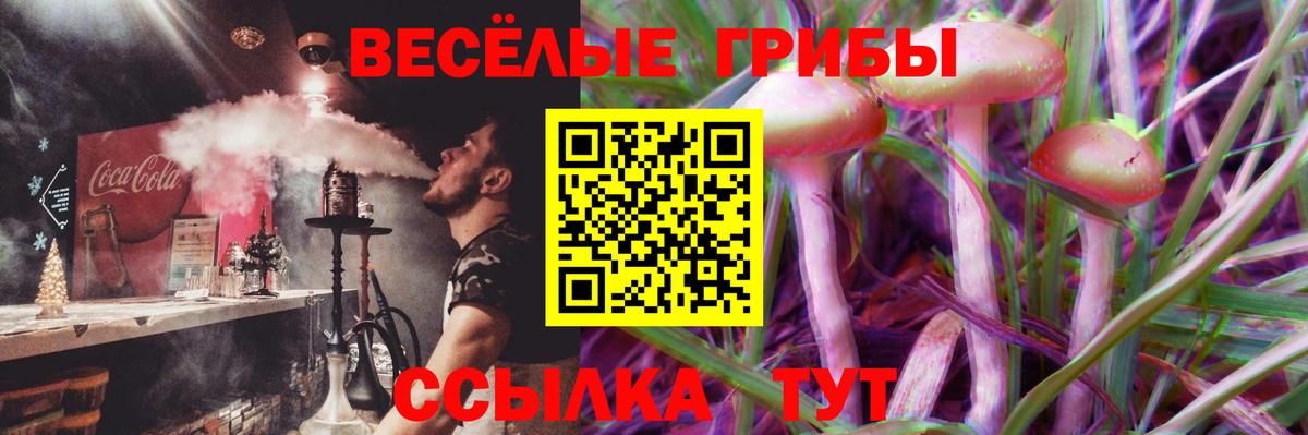 Химки  Псилоцибиновые грибы Cubensis  наркотики  Вход с VPN  Псилоцибиновые грибы ЛСД 